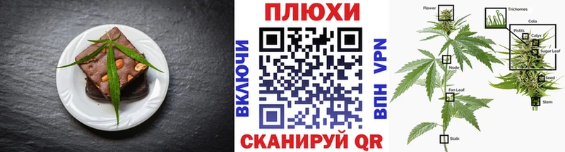 Canna-Cookies конопля Прохладный