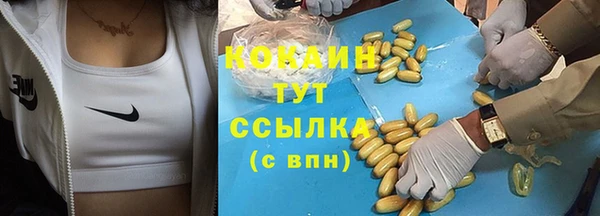 прущий лед Карпинск