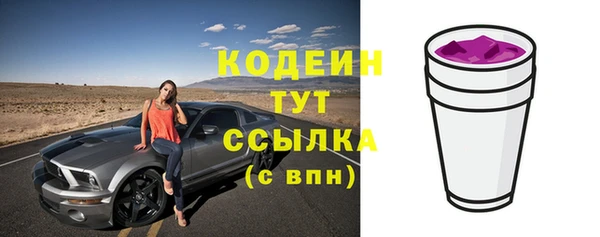 прущий лед Карпинск