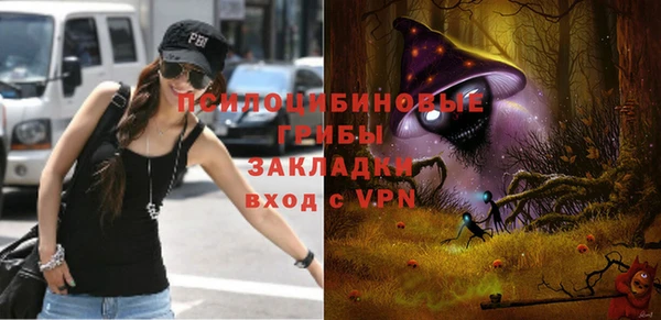 метадон Касимов