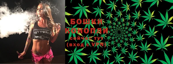 прущий лед Карпинск