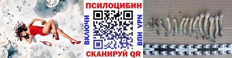 Галлюциногенные грибы Psilocybe  Купить закладки  Прохладный 